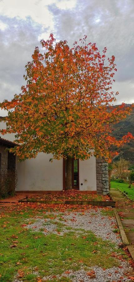 Vila La Calma De Llanes Exteriér fotografie